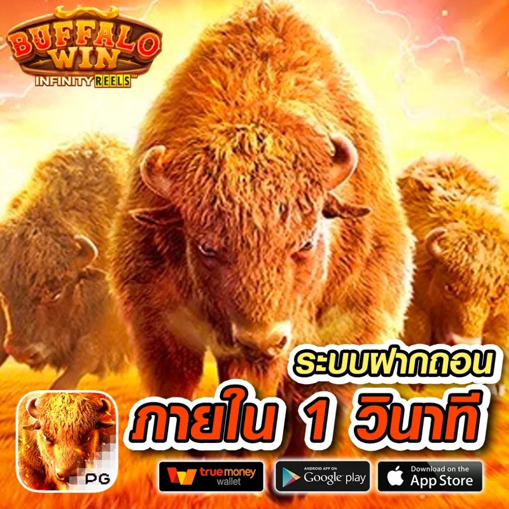 panda1234 เว็บตรงสล็อต ฝากถอนออโต้ ไม่ผ่านเอเย่นต์ 2026